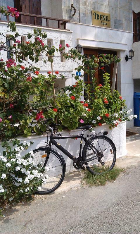 Irene Apartments Malia Dış mekan fotoğraf