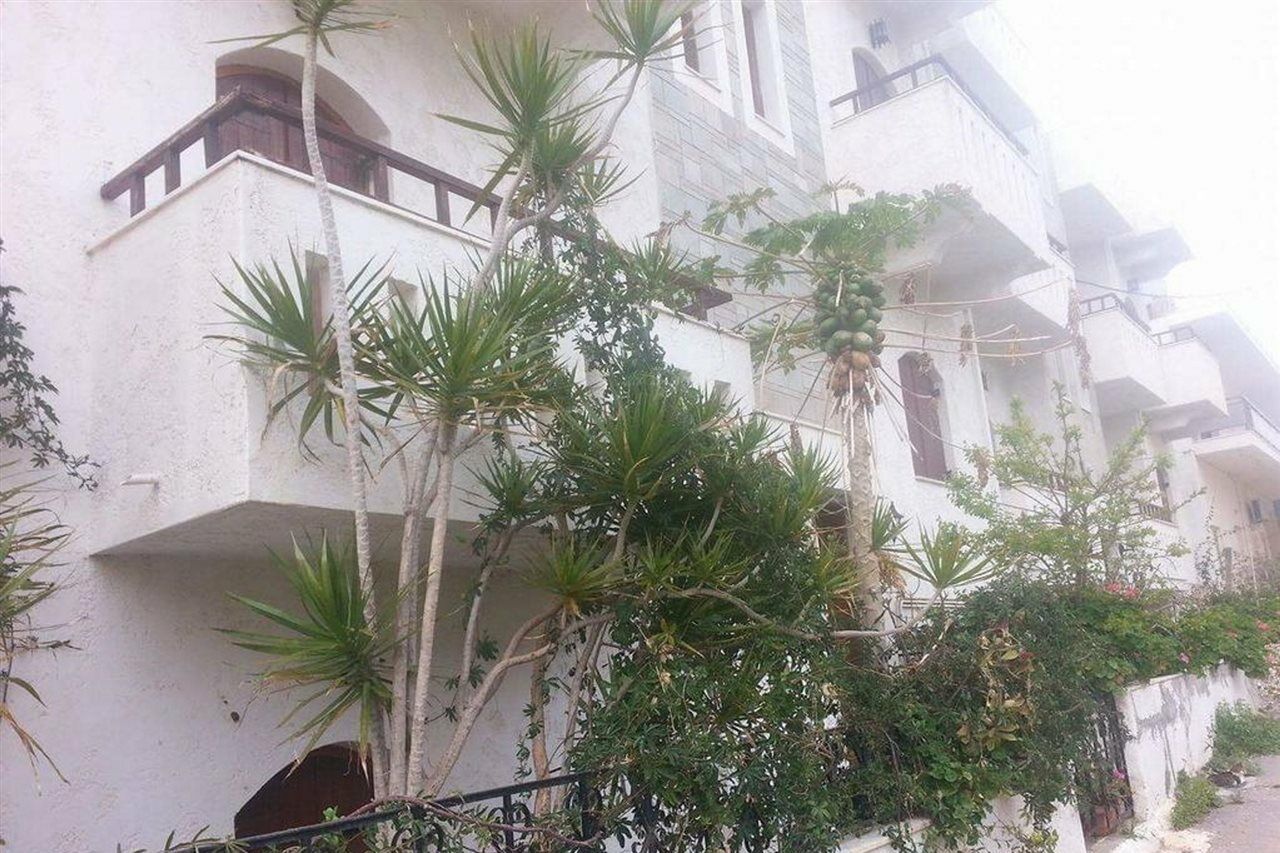 Irene Apartments Malia Dış mekan fotoğraf